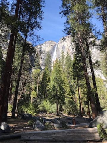 Breckenridge Chalet Near Yosemite. Dog Friendly! 格罗夫兰 外观 照片