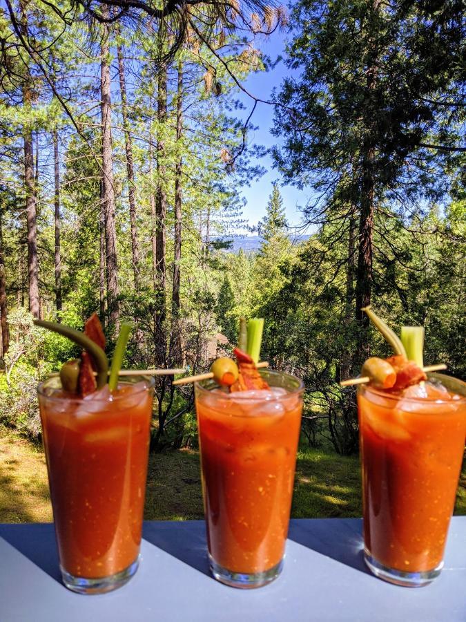 Breckenridge Chalet Near Yosemite. Dog Friendly! 格罗夫兰 外观 照片