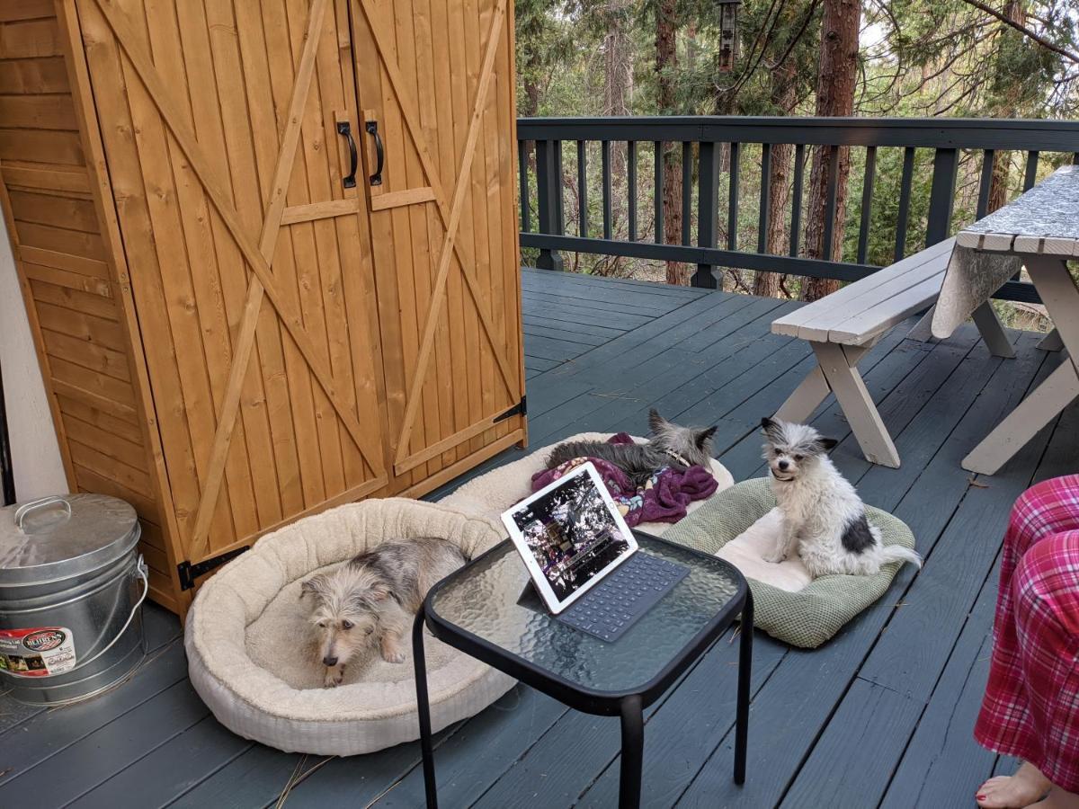 Breckenridge Chalet Near Yosemite. Dog Friendly! 格罗夫兰 外观 照片
