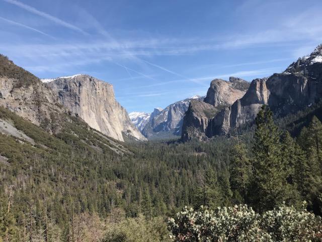 Breckenridge Chalet Near Yosemite. Dog Friendly! 格罗夫兰 外观 照片